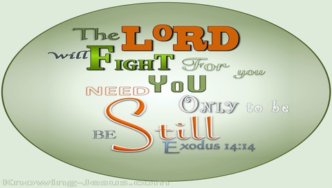 Exodus 14:14 The Lord Will Fight For You (green)
